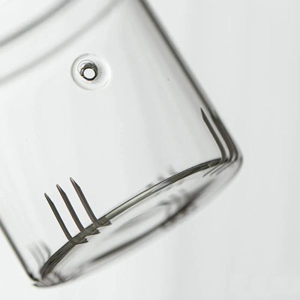 Théière élégante en verre, forme ronde