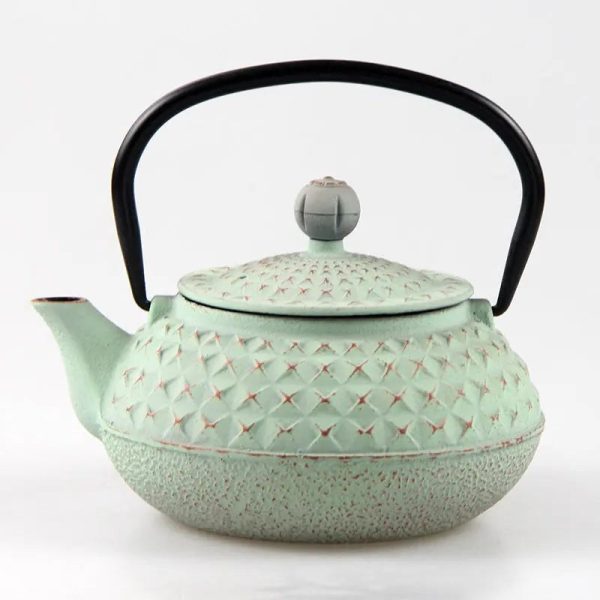 Théière Japonaise en Fonte 600ml