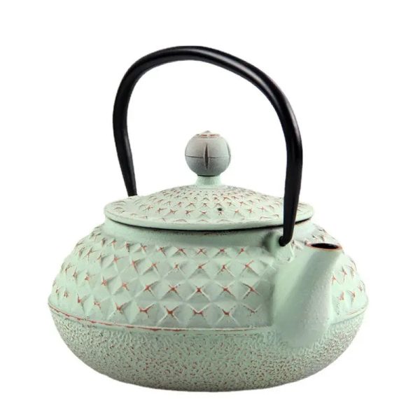 Théière en Fonte avec Piques pour infusion