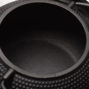 Théière traditionnelle japonaise, design empereur élégant