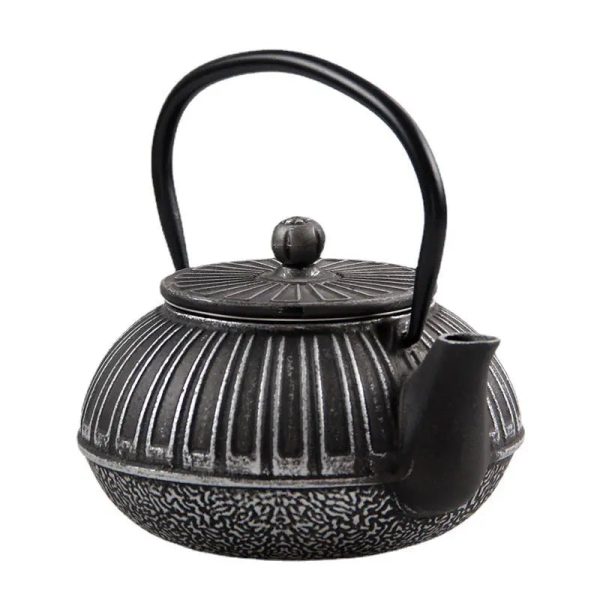 Accessoire pour le thé, théière japonaise en fonte 600ml